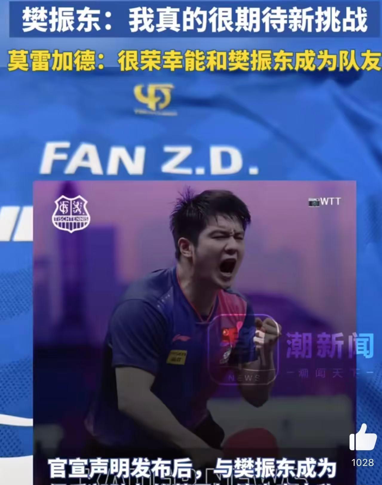 比利时乒乓球队横扫韩国乒乓球队，樊振东送出助攻的简单介绍