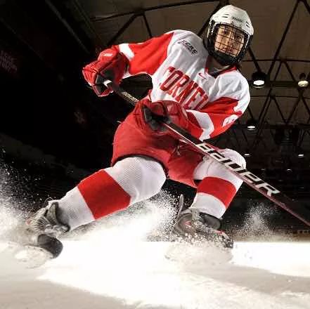 包含最新战报：冰球豪取连胜，冠军在望的词条