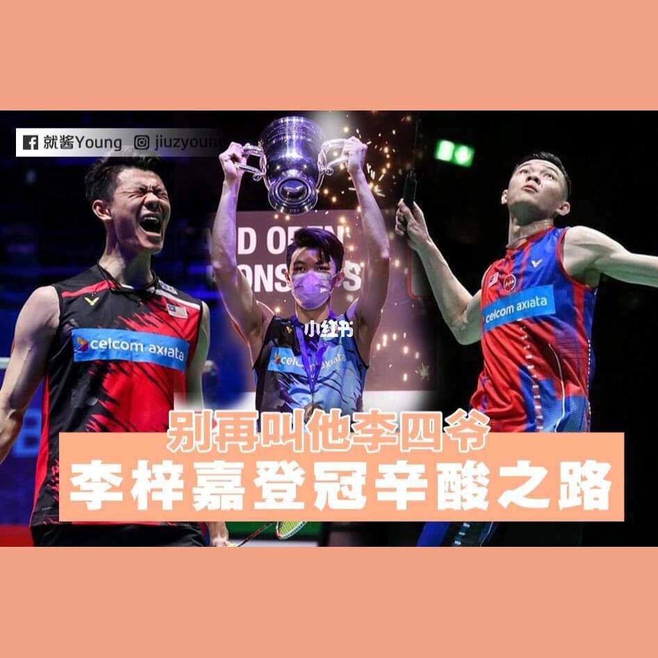 开云体育入口-德国队完胜丹麦队，李梓嘉带队取胜