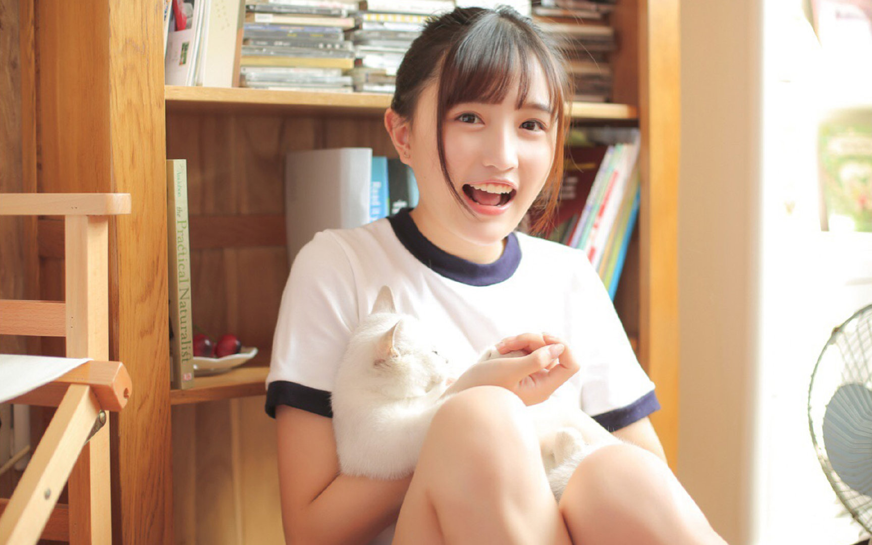 开云体育-冰岛3-0碾压奥地利，阿克头槌破门，让比赛提前失去悬念