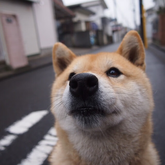 开云体育APP下载-战吼回荡！翡翠军团粉碎强敌，斯通斯跨越时空的制胜弧线