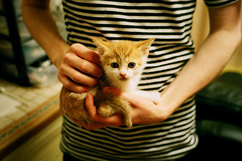 格纳布里，欧冠决赛之夜的隐形男主角