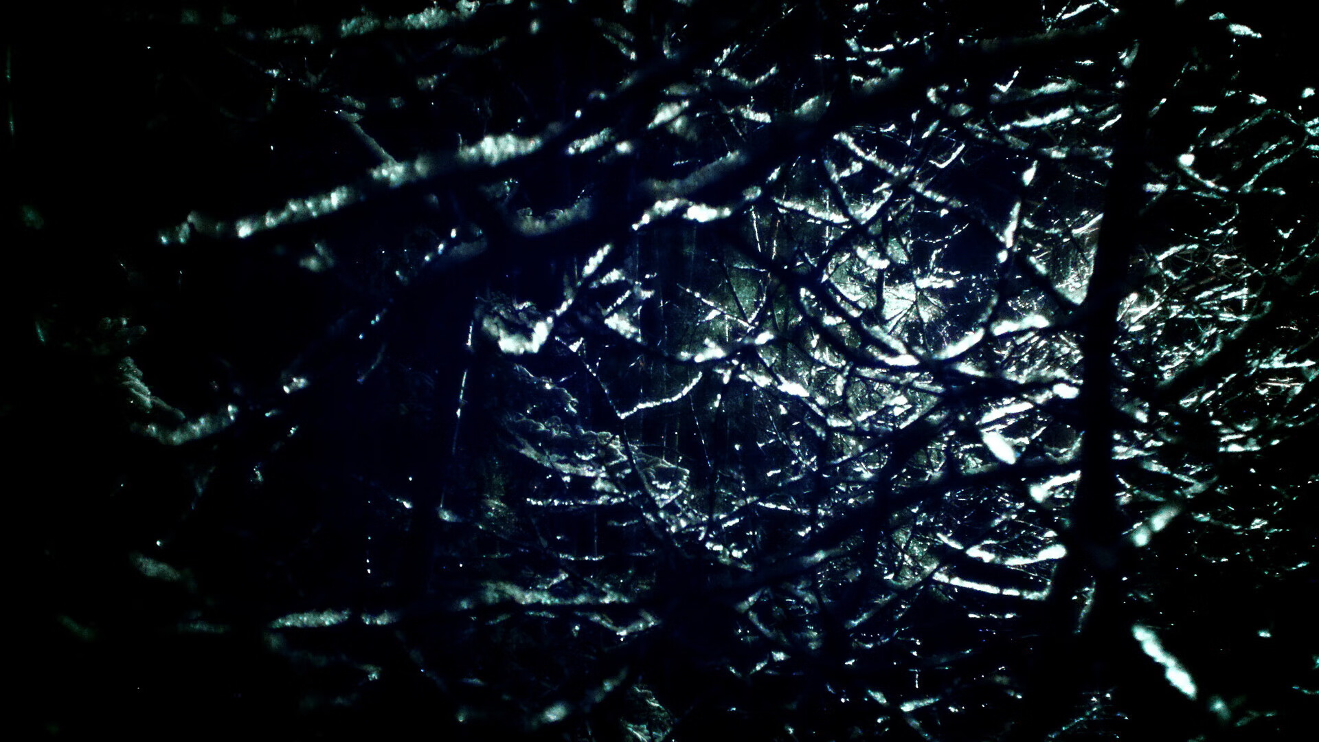 临界点的光,维斯塔潘与约基奇,如何定义带走比赛