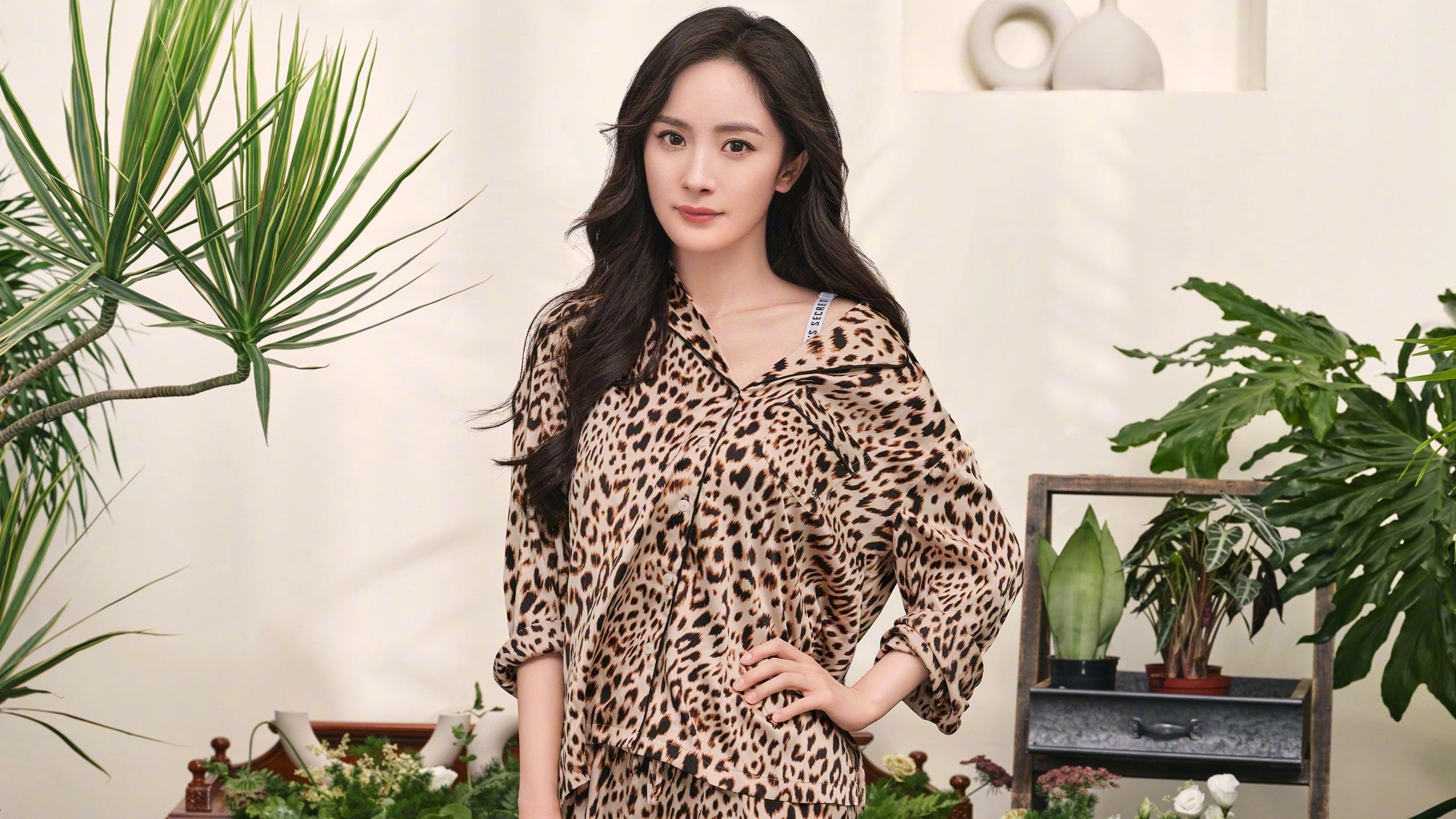 橙衣幽灵破棋局，加克波如何以异乡人之姿，在克罗地亚与塞维利亚的百年恩怨中写下唯一注脚