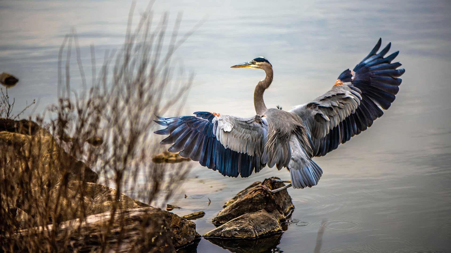 开云体育app-当靴子亲吻草皮，胜利与消亡的三种注脚